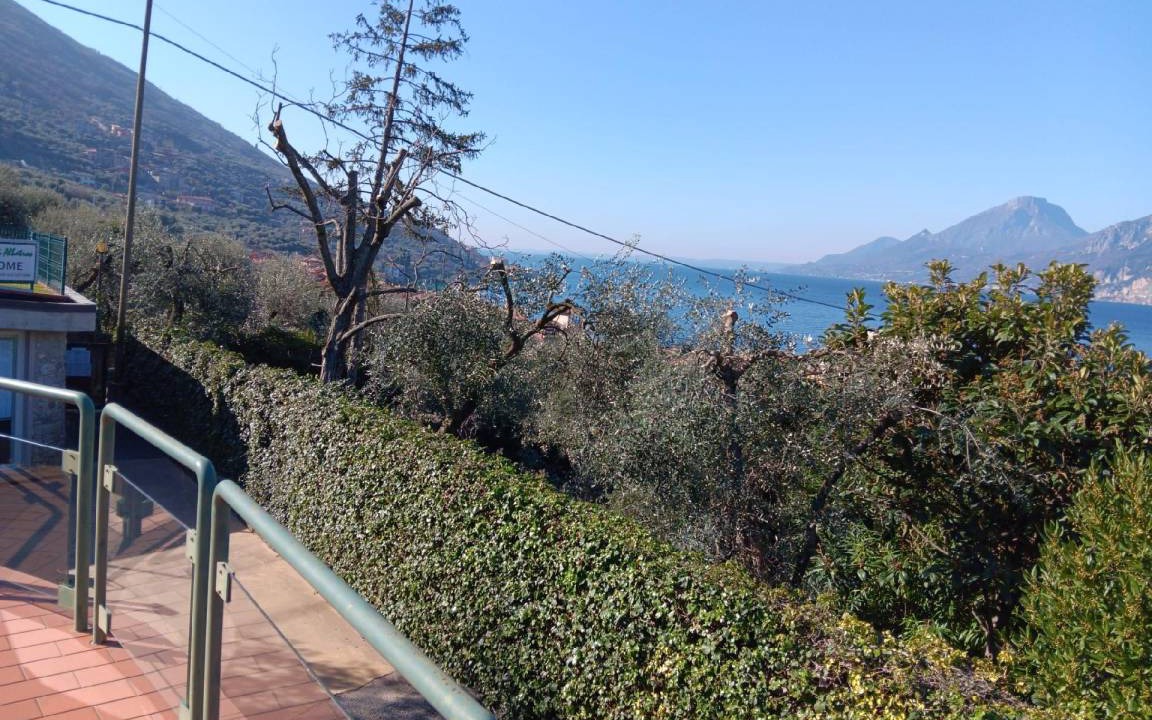Photo of Others in Assenza