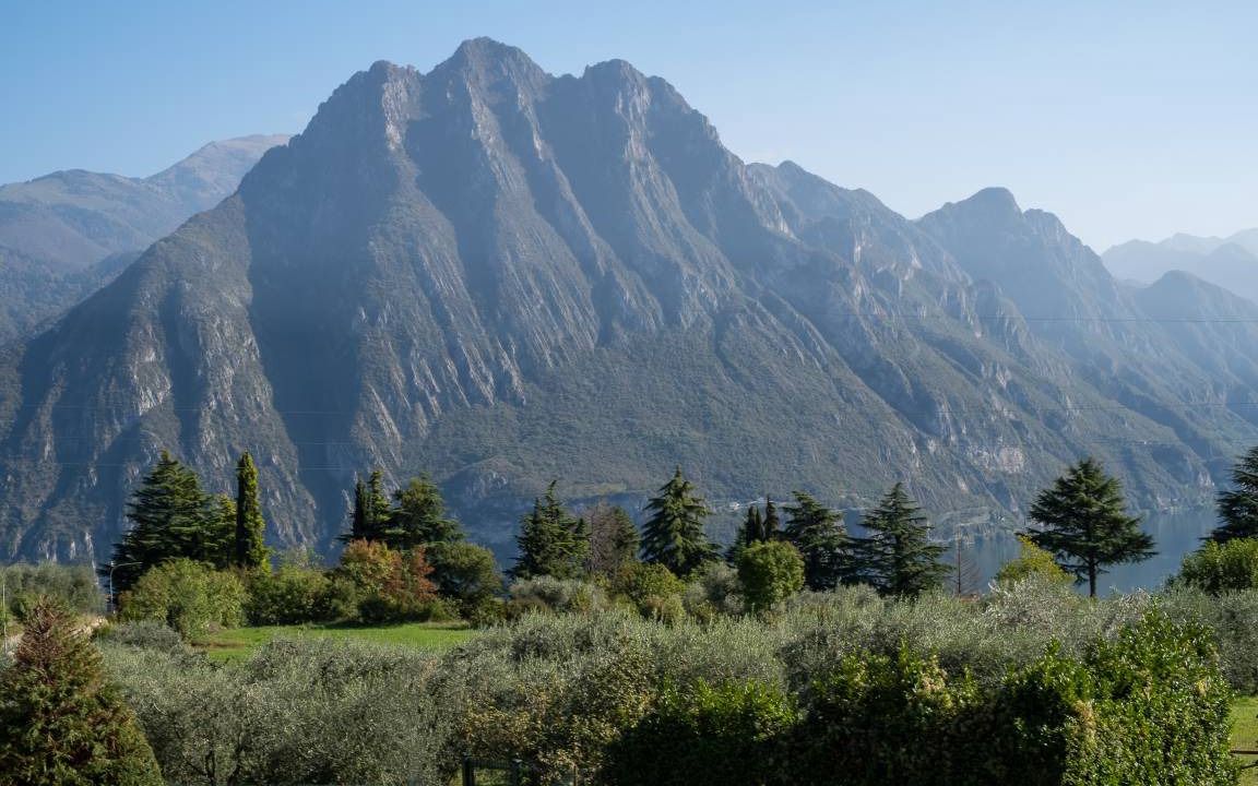 Photo of Others in Solto Collina