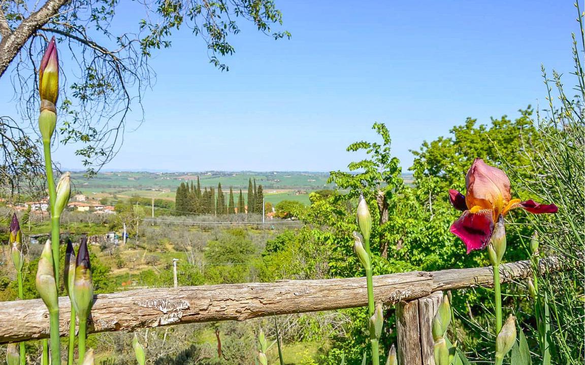 Photo of Others in Paciano