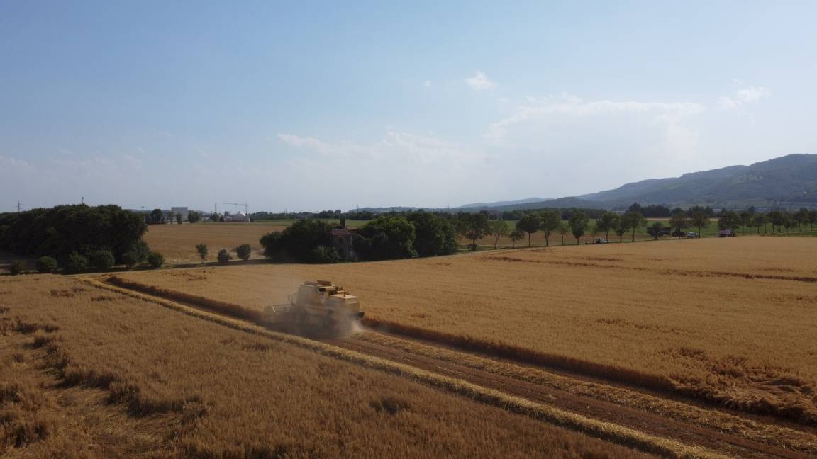 Photo of Others in Longare