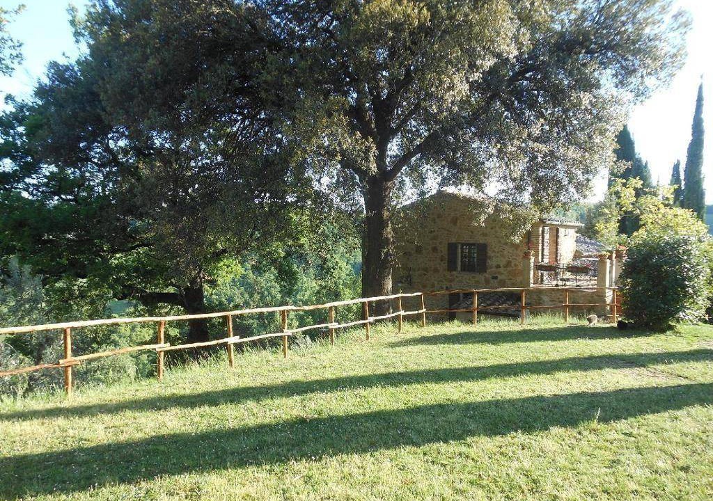 Photo of Others in Montefollonico