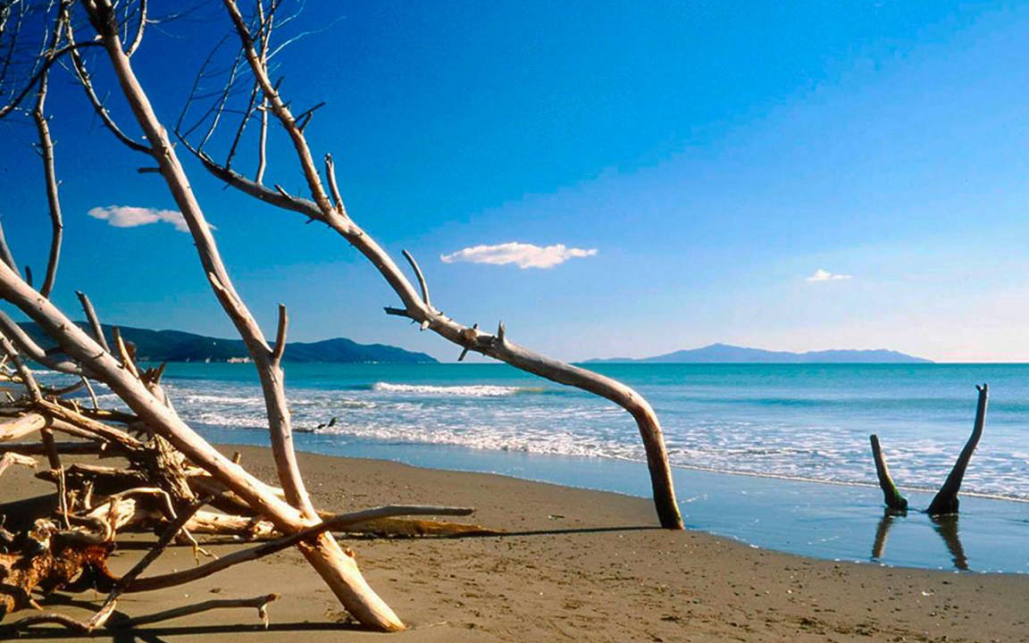 Photo of Others in Marina di Grosseto