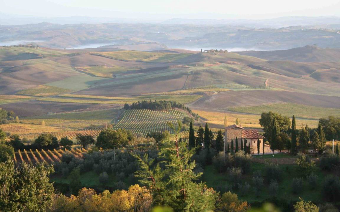 Photo of Others in Montalcino