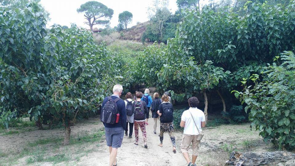 Photo of Others in Badolato
