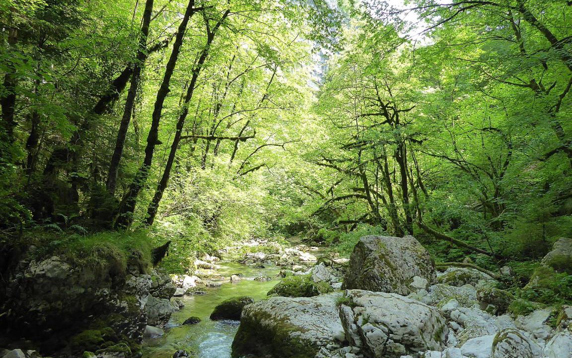 Photo of Others in Lozzo di Cadore
