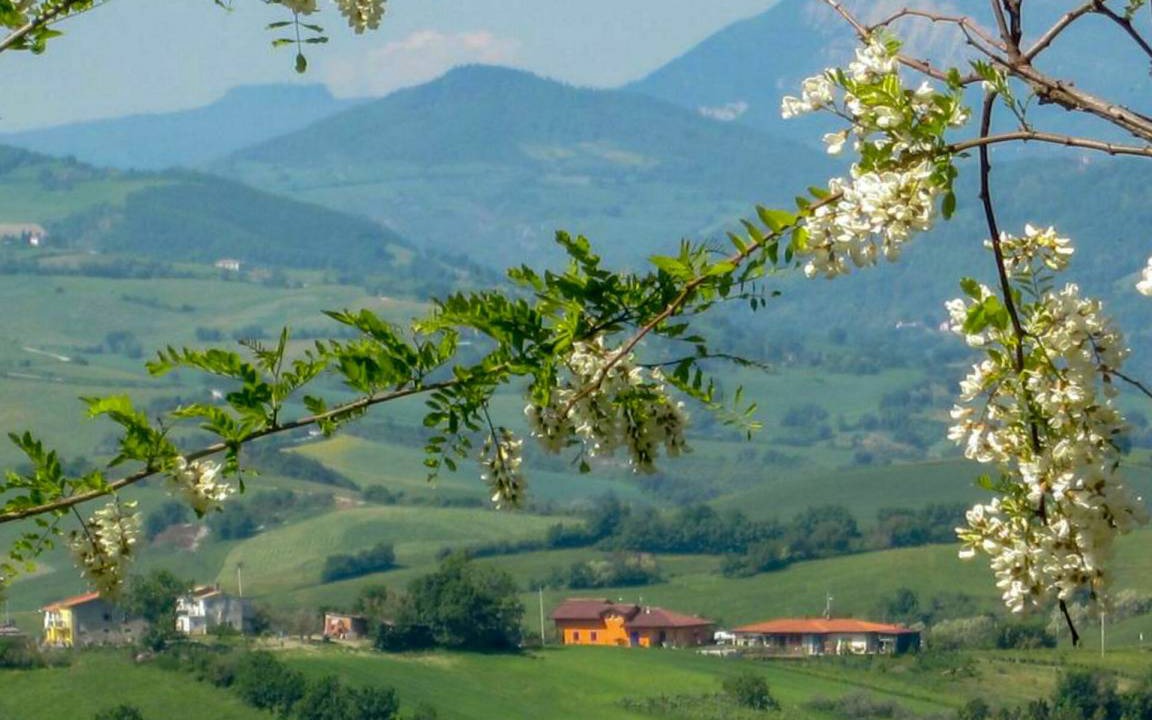 Photo of Others in Gemmano