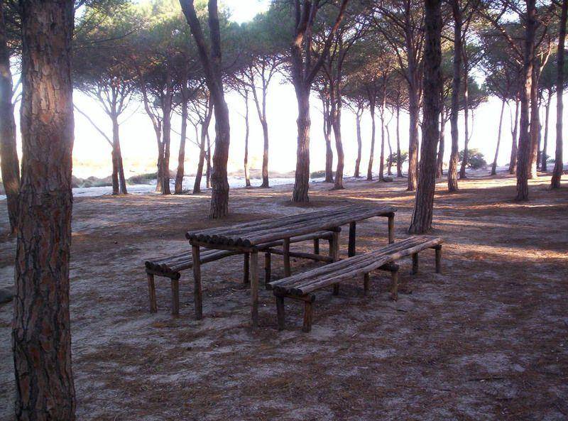 Photo of Outdoor in Tanaunella