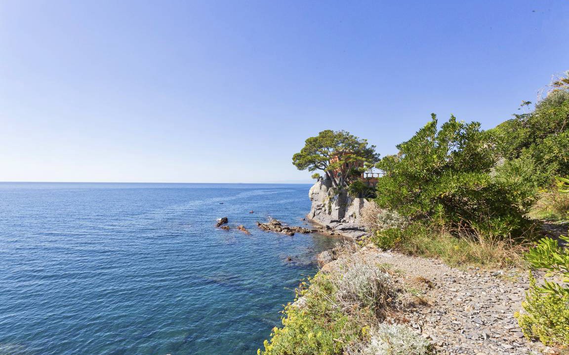 Photo of Others in Recco