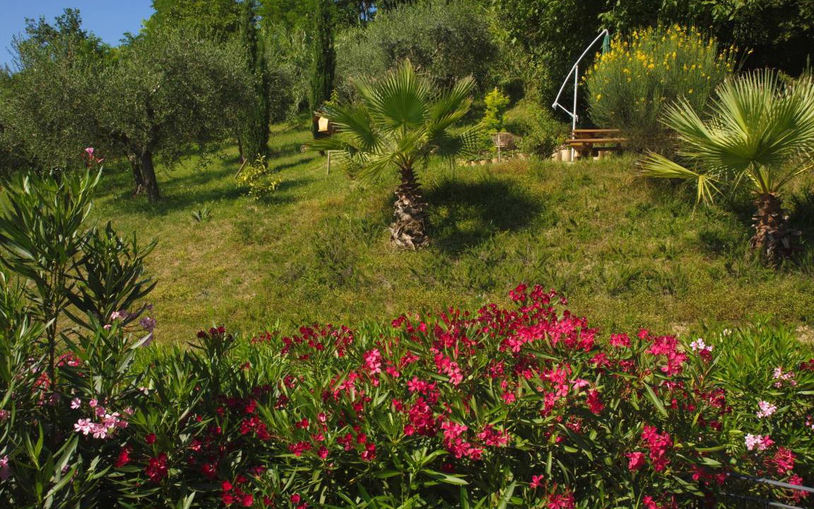 Photo of Others in Ripatransone