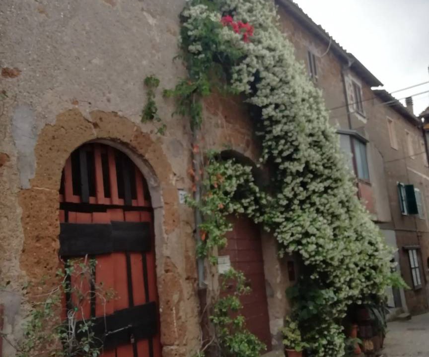 Photo of Others in Barbarano Romano