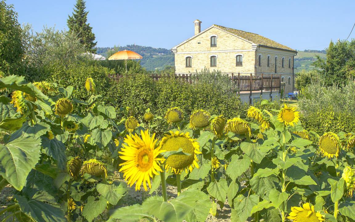 Photo of Others in Montecarotto
