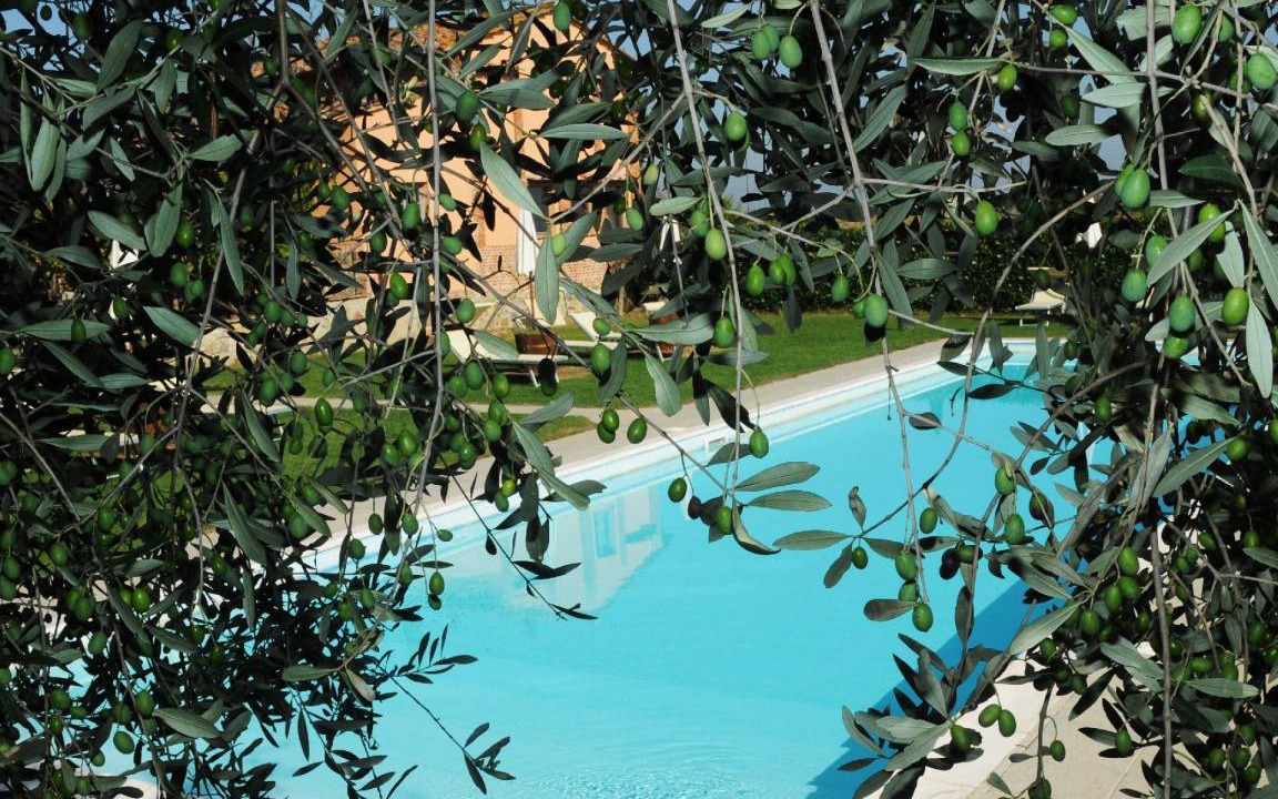 Photo of Others in Castiglione del Lago