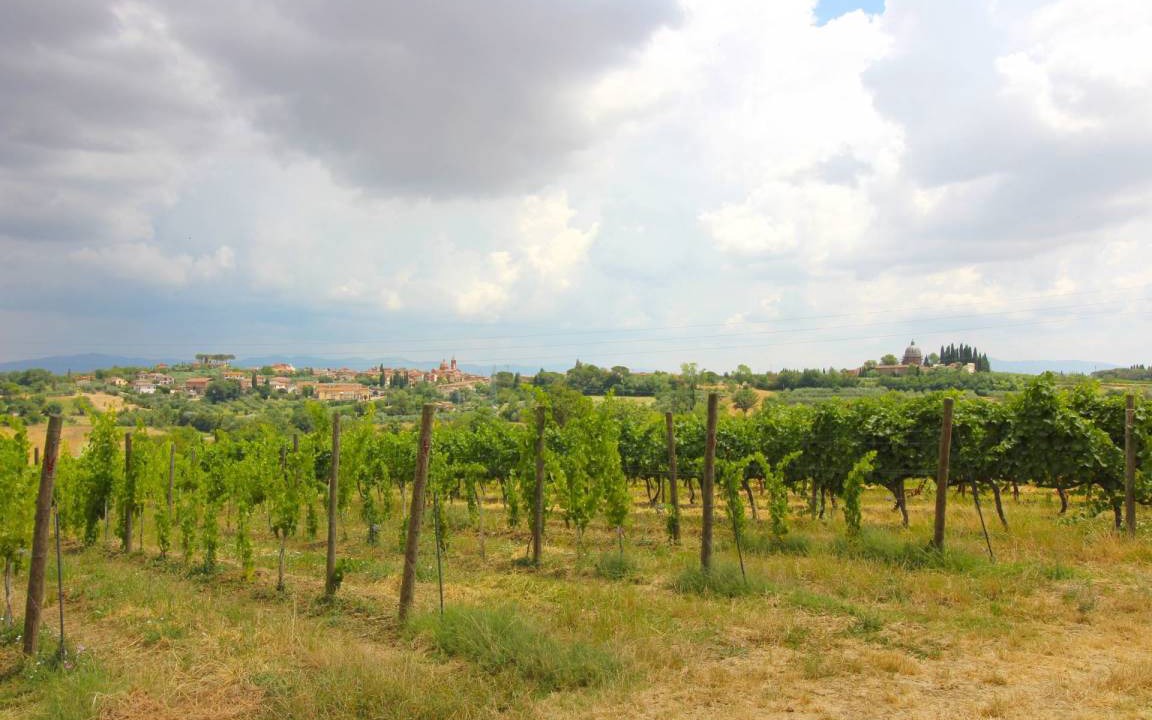 Photo of Others in Foiano della Chiana