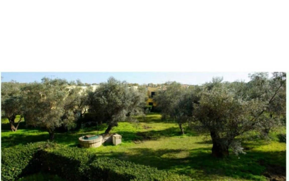 Photo of Others in Sant'Andrea Apostolo dello Ionio