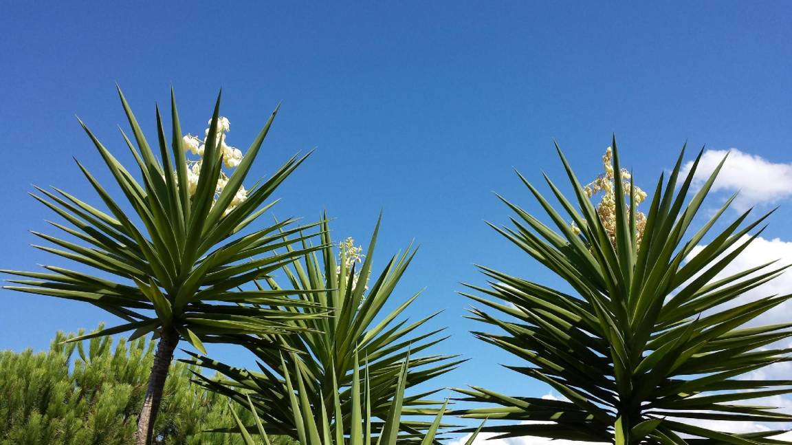 Photo of Outdoor in Massa Marittima
