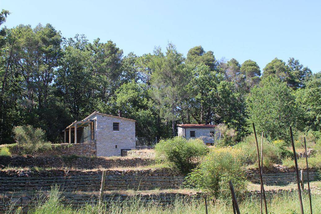 Photo of Others in Montemarcello
