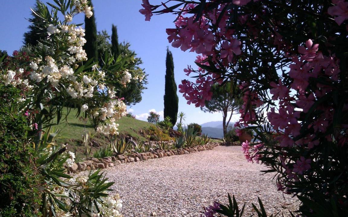 Photo of Others in Massa Marittima