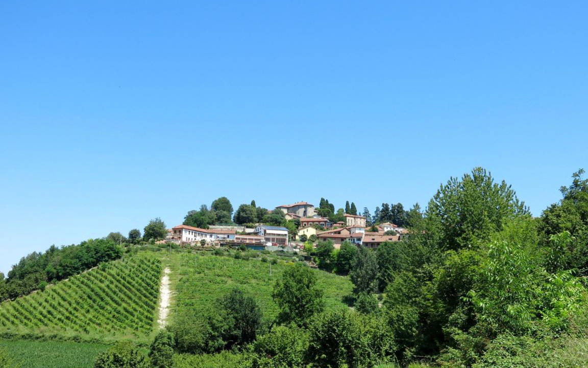 Photo of Others in Cossombrato