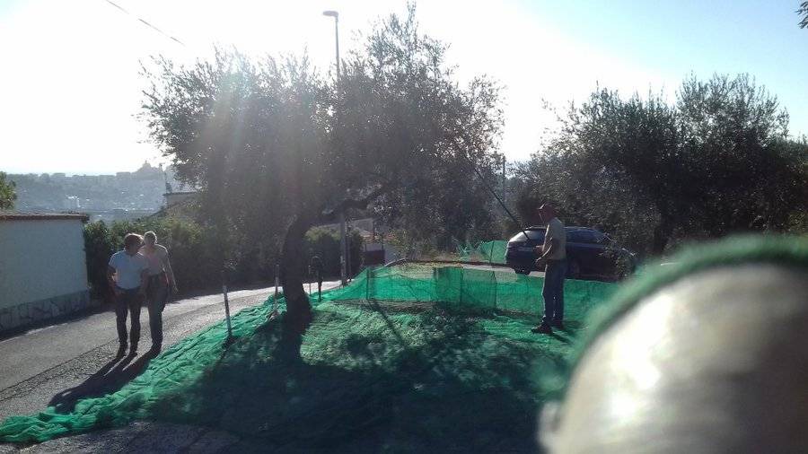 Photo of Others in Imperia