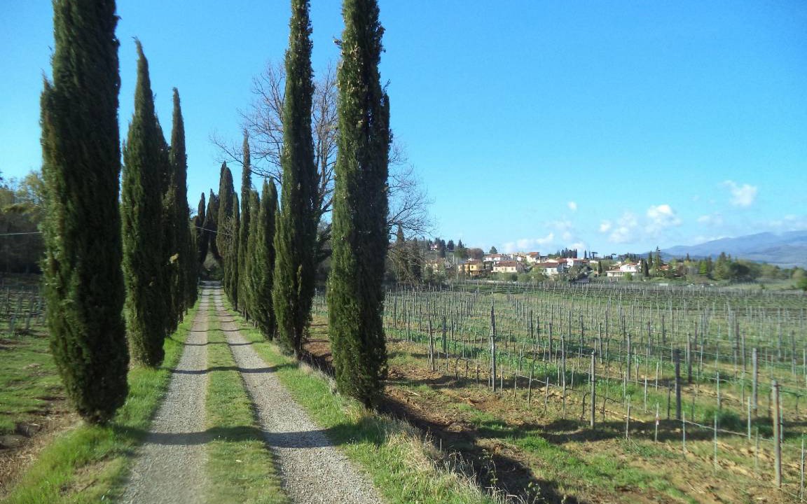 Photo of Others in Arezzo