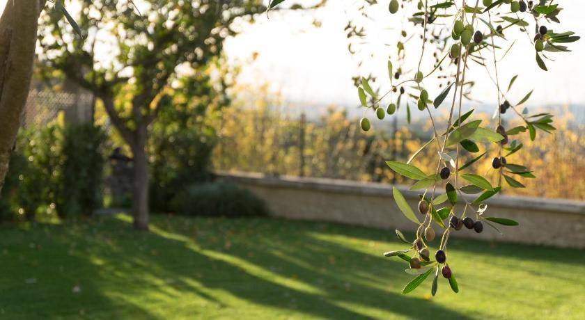 Photo of Others in Montefalco
