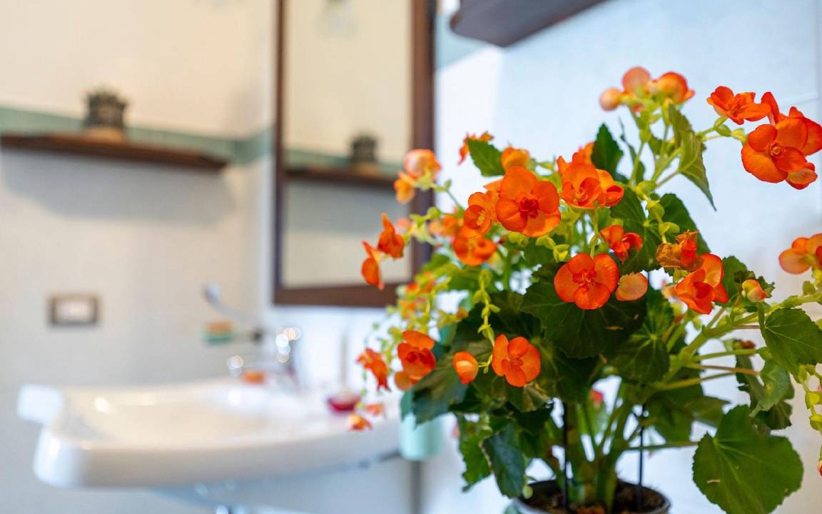 Photo of Bathroom in Cessapalombo