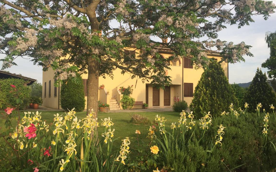 Photo of Others in Gavorrano