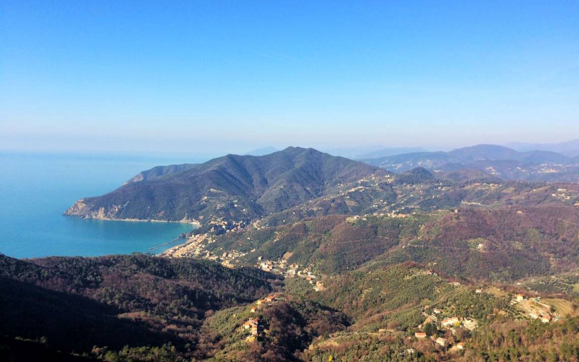 Photo of Others in Deiva Marina