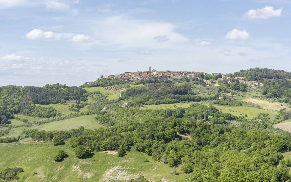 Photo of Others in Radicondoli