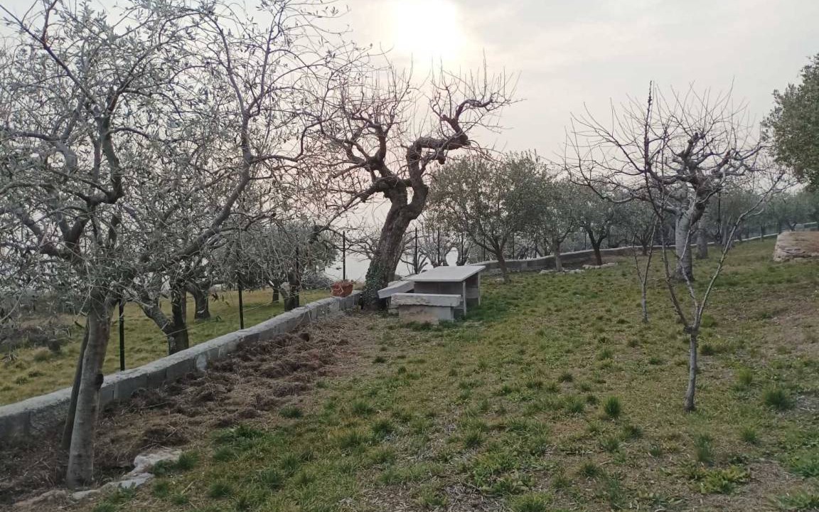 Photo of Outdoor in Sant'Ambrogio di Valpolicella