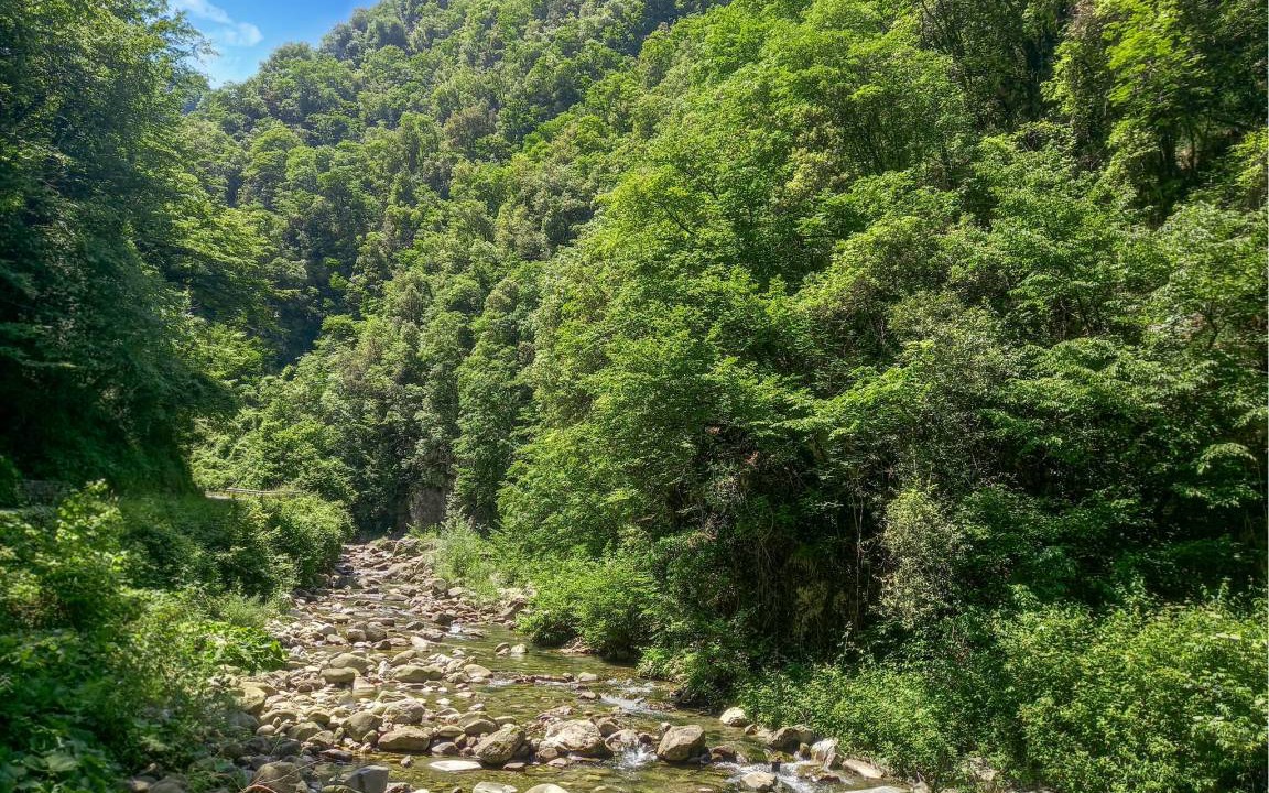 Photo of Outdoor in San Rocco in Turrite