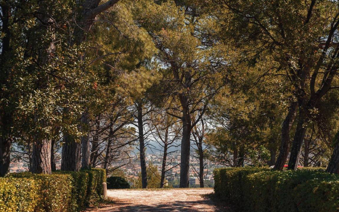 Photo of Others in Santa Veneranda