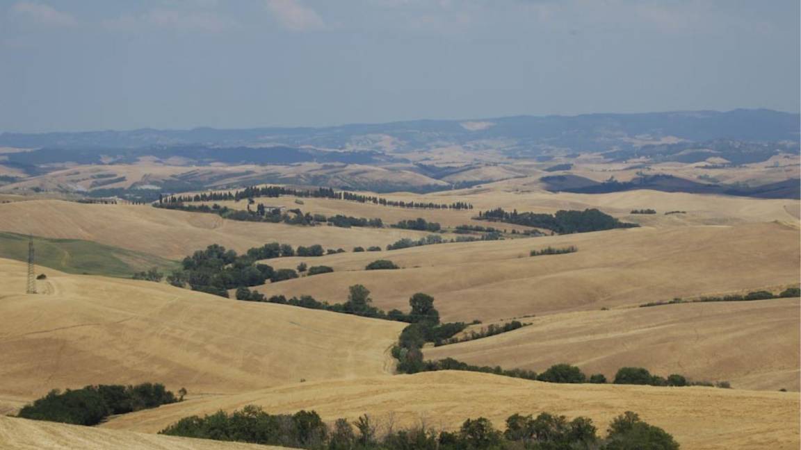 Photo of Others in Lajatico