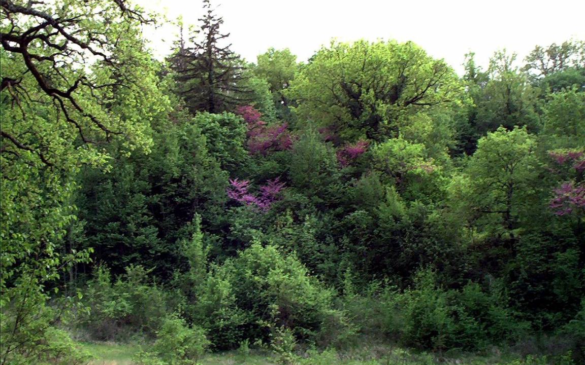 Photo of Others in Sant'Anatolia di Narco
