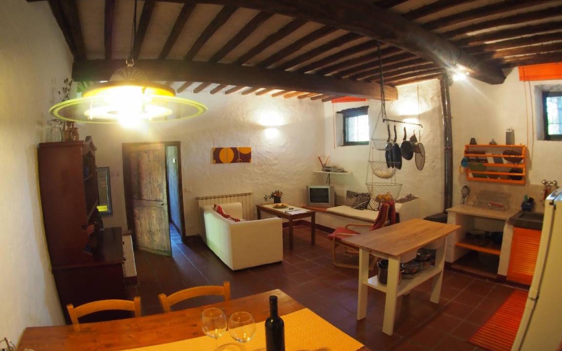 Photo of Others in Gaiole in Chianti