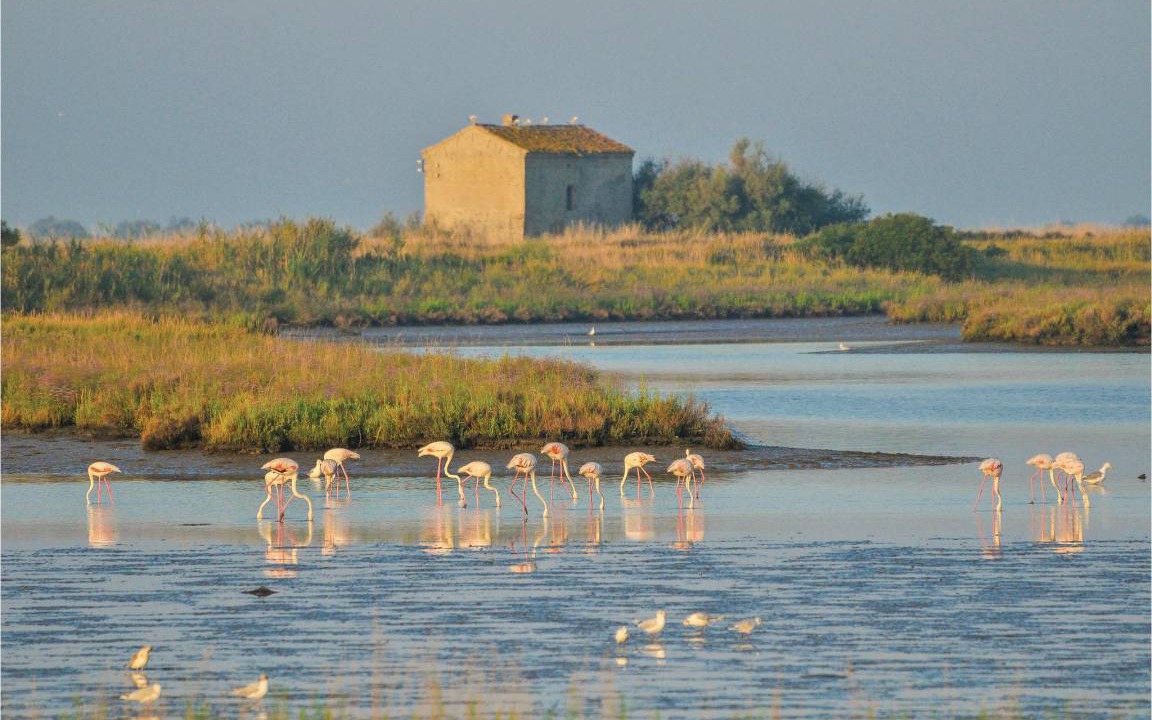 Photo of Others in Lido delle Nazioni
