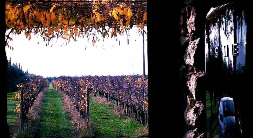 Photo of Others in Gargagnago di Valpolicella