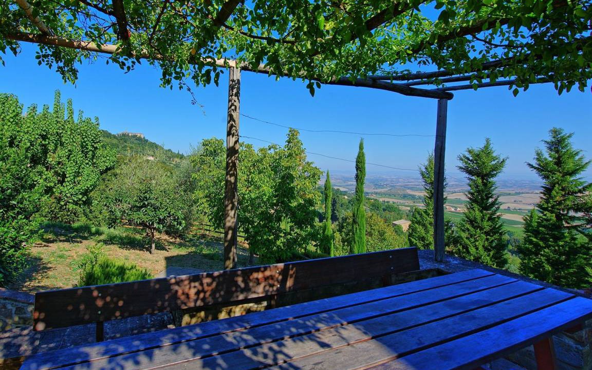 Photo of Others in Montalcino