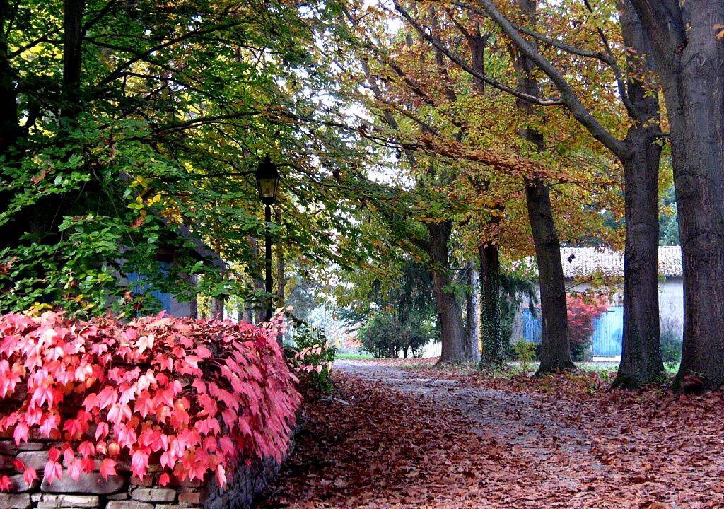 Photo of Outdoor in Monastero Bormida