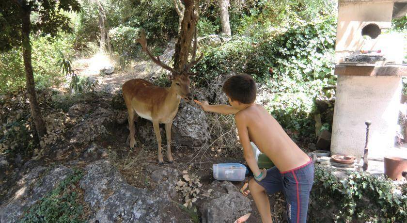 Photo of Others in Ansedonia