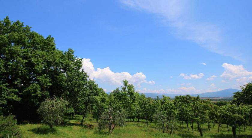 Photo of Others in Marciano della Chiana