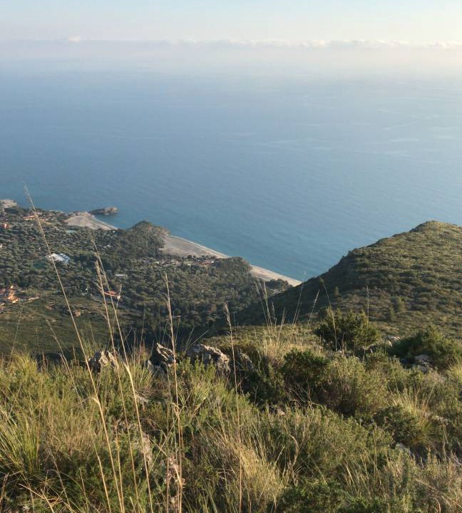 Photo of Others in Camerota