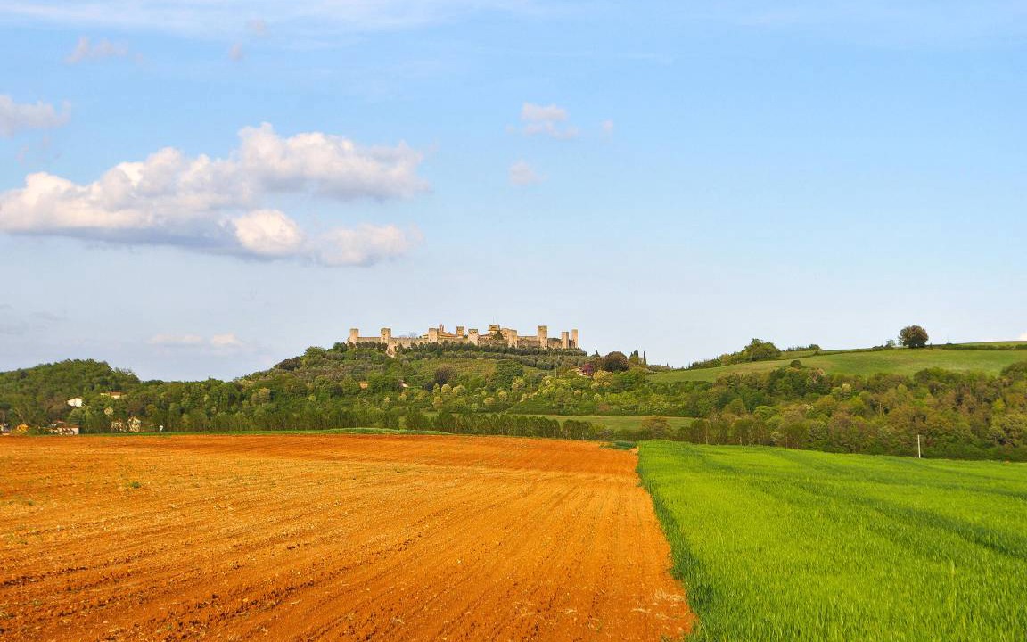 Photo of Others in Monteriggioni