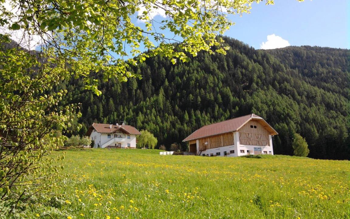 Photo of Others in Santo Stefano
