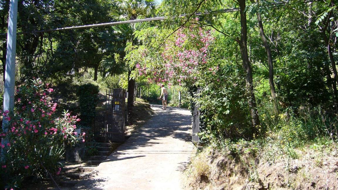 Photo of Others in Vignola
