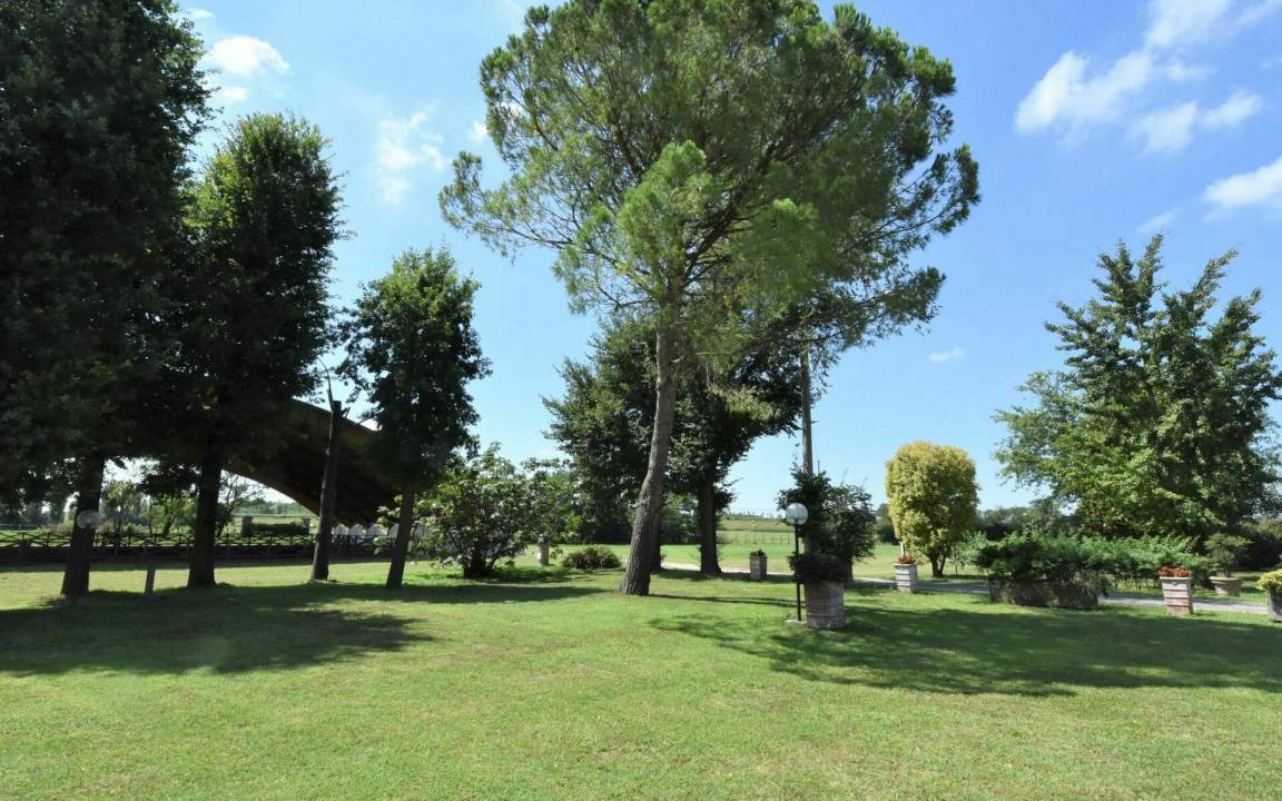 Photo of Others in Ariano nel Polesine