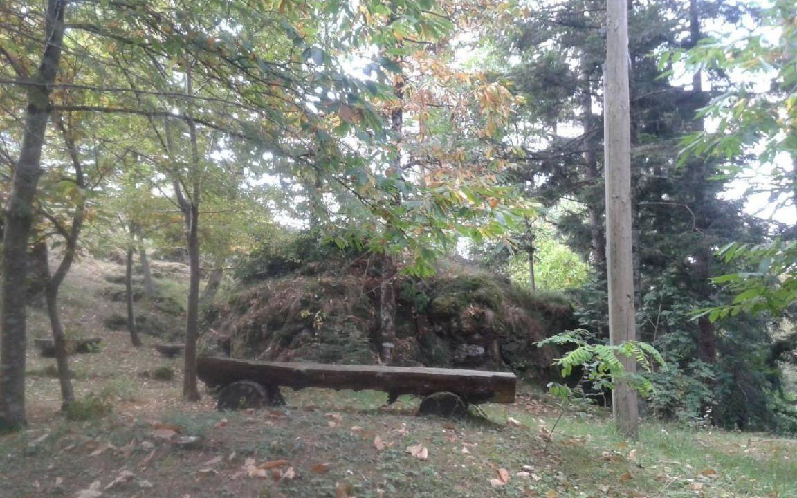 Photo of Outdoor in Borzonasca