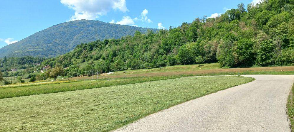 Photo of Others in Feltre