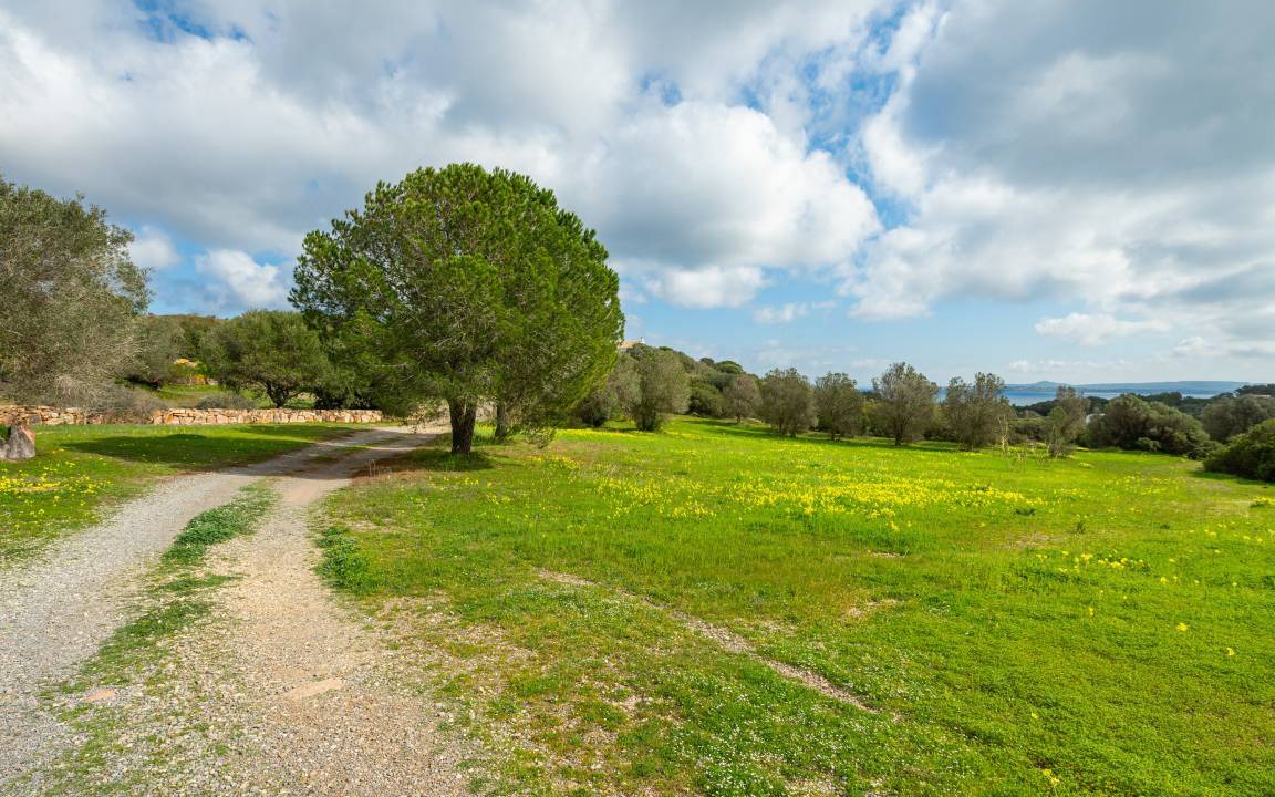 Photo of Others in Carloforte
