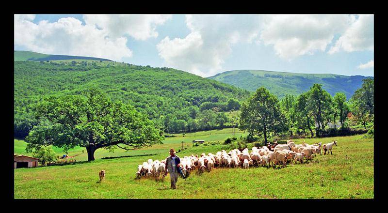 Photo of Others in Norcia